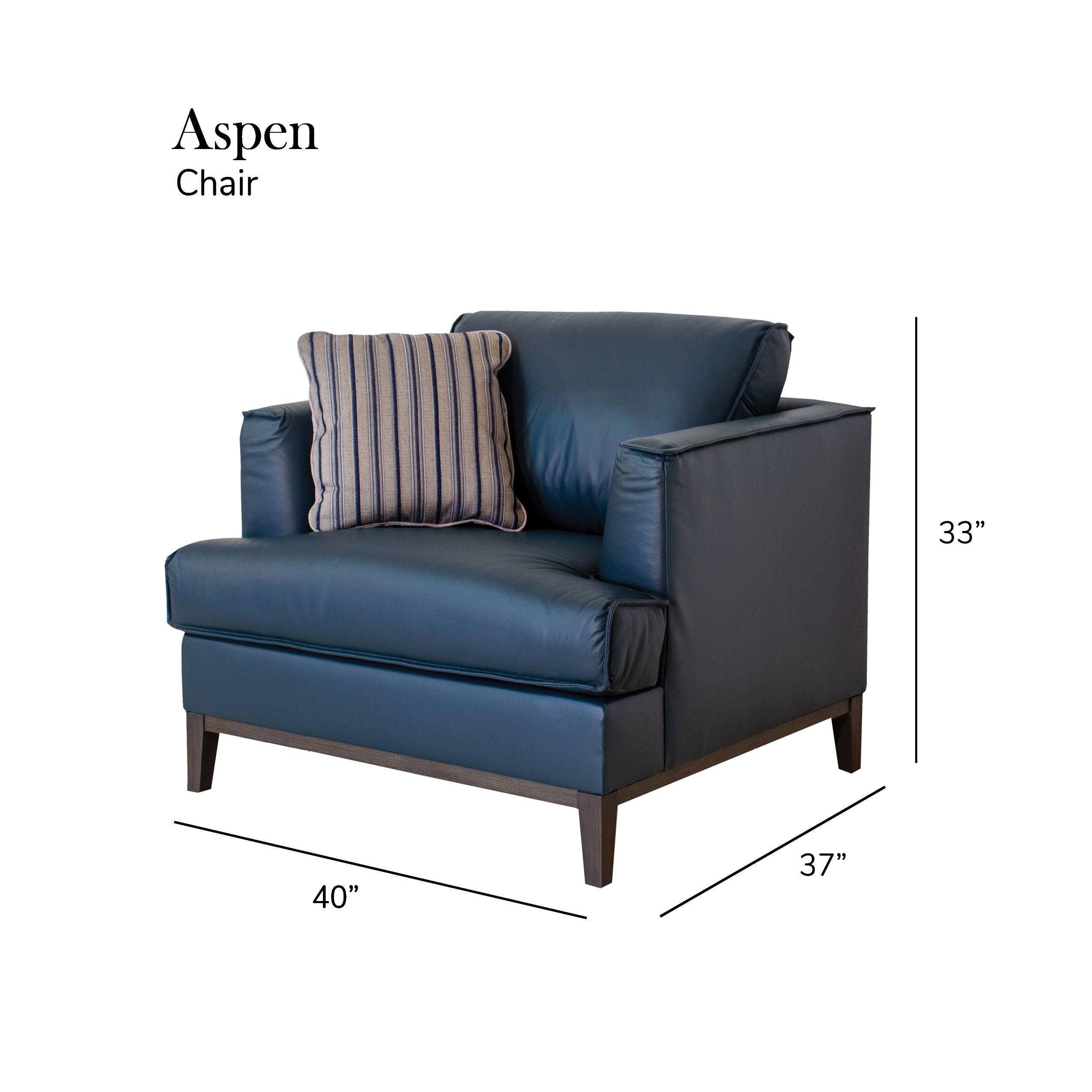 Aspen - Top Grain Leather Chair