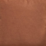 Caygan - Throw Pillow