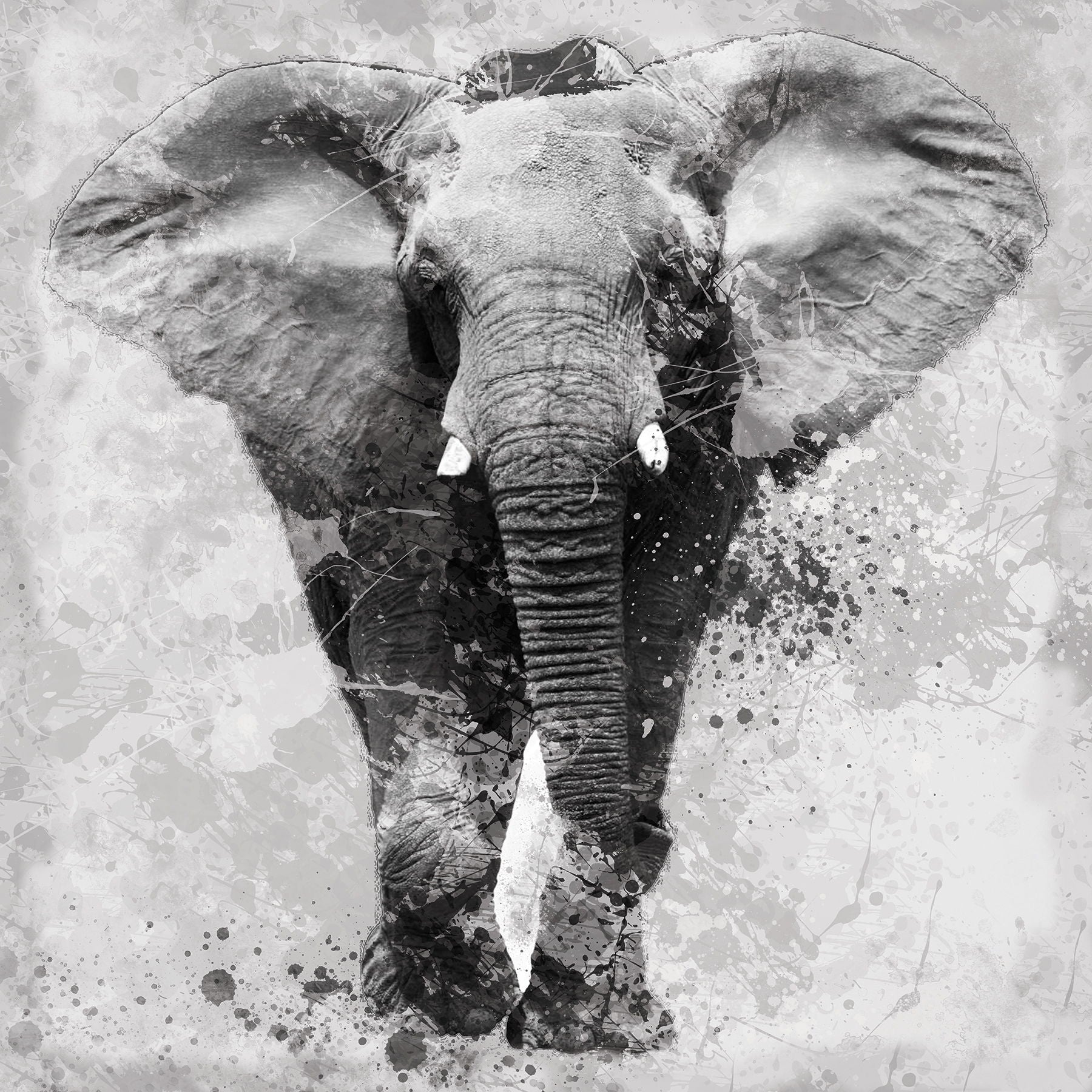 Framed Small - Proud Elephant By Carol Robinson - Dark Gray