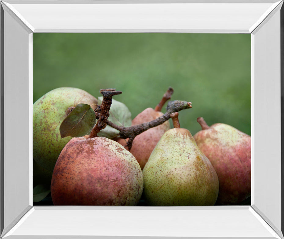 Comice Pear Il By Rachel Perry - Mirror Framed Print Wall Art - Green