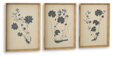 Huddwick - Wall Art Set (Set of 3) - Linen / Black