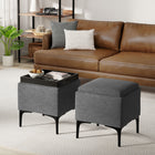 Natasha - Multifunctional Storage Ottoman With Tray