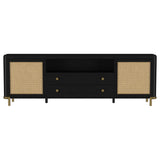 Arini - Rattan Cane 2-Door TV Stand Media Console by Coaster Fine Furniture | Bel Furniture