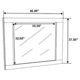 Felicity - Contemporary Panel Bed Bedroom Set