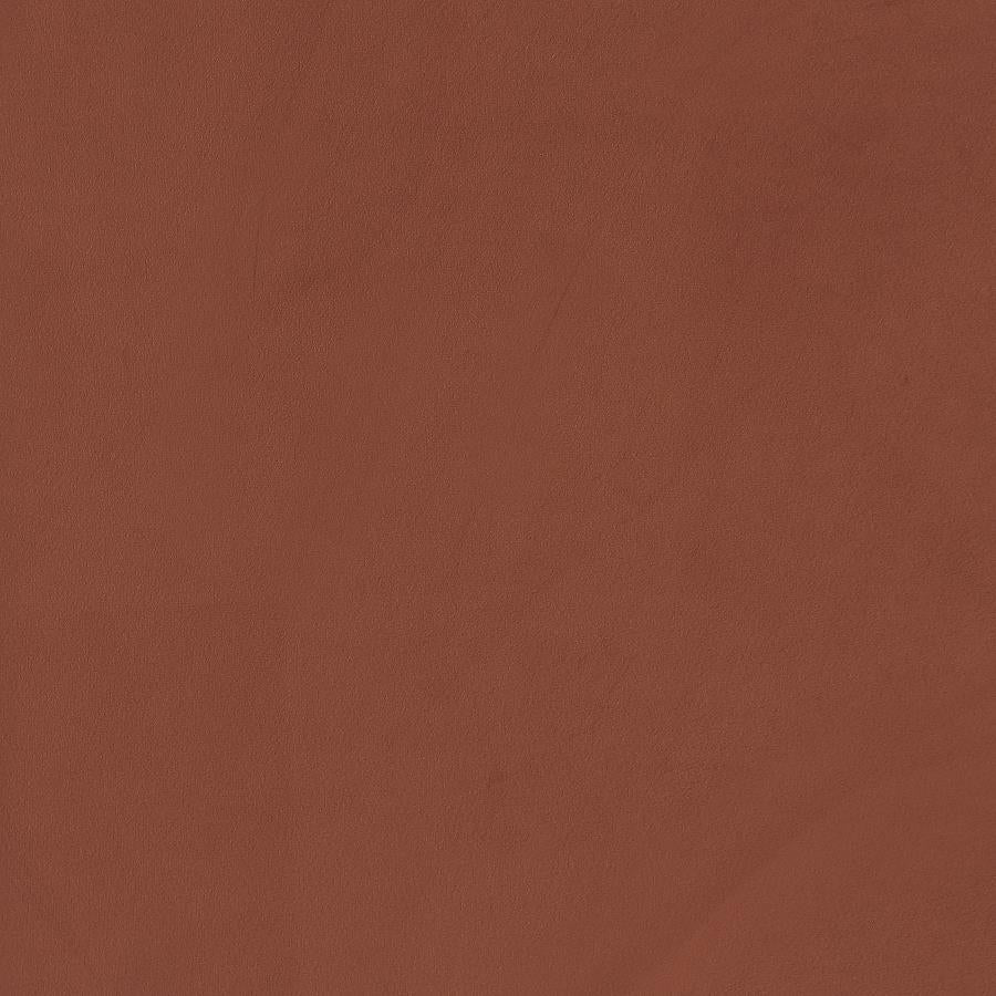 Liana - Upholstered Roll Arm Accent Armchair - Rust