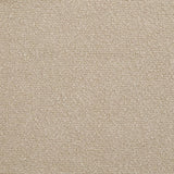 Valdez - Boucle Upholstered Barrel Back Accent Chair