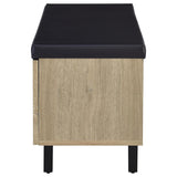 Brixton - 2-Door Padded Entryway Shoe Storage Bench