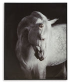 Archerwick - Wall Art - Black / White
