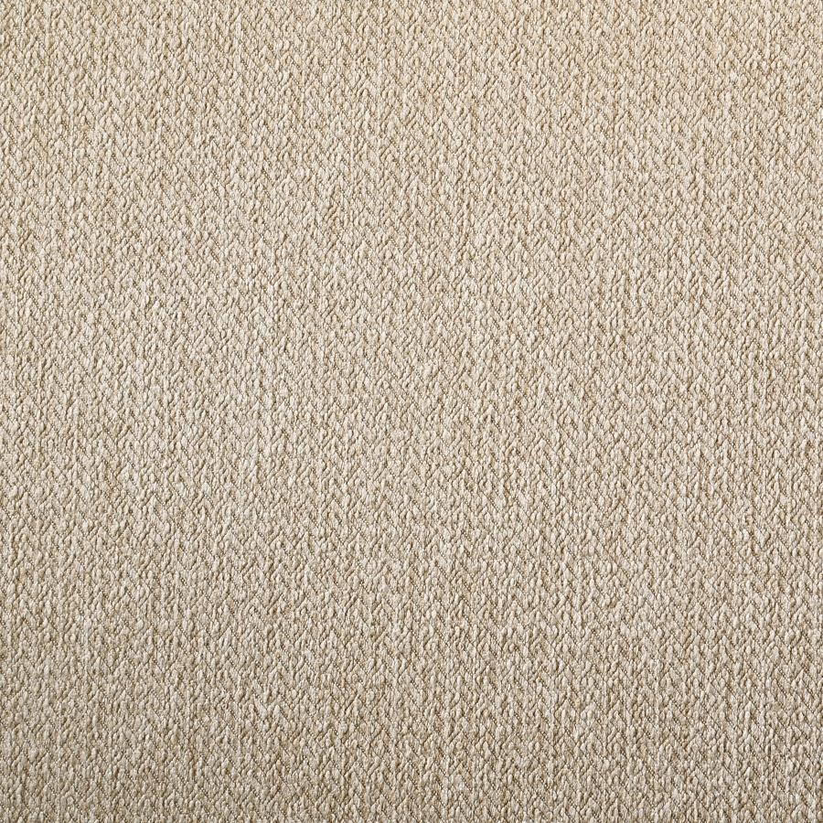 Danvers - Wood Dining Side Chair (Set of 2) - Brown Oak by Coaster Fine Furniture | Bel Furniture