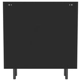 Dalia - 2 Door Accent Storage Cabinet With Shelving - Black