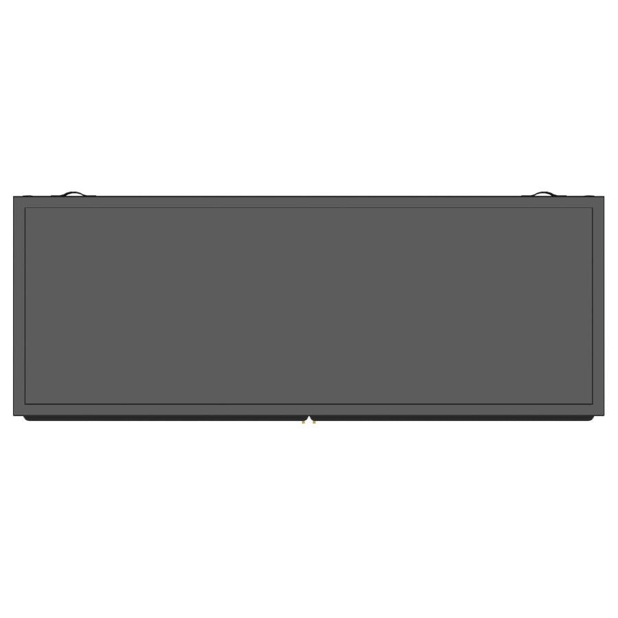 Dalia - 2 Door Accent Storage Cabinet With Shelving - Black