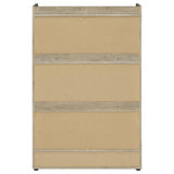 Denia - 3-Tier Engineered Wood Shoe Cabinet