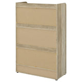 Denia - 3-Tier Engineered Wood Shoe Cabinet