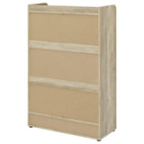 Denia - 3-Tier Engineered Wood Shoe Cabinet