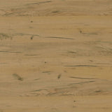 Bristol - 6-Shelf Engineered Wood Shoe Cabinet - Golden Oak