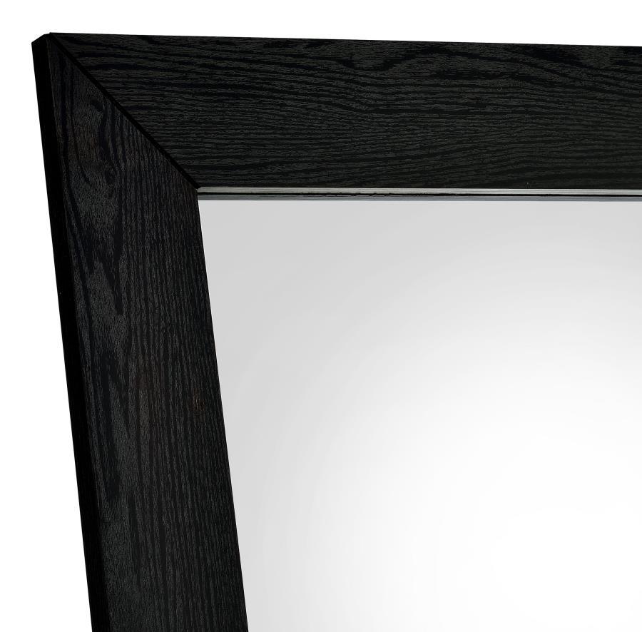 Cadence - Tempered Glass Full Length Mirror by Coaster Fine Furniture | Bel Furniture