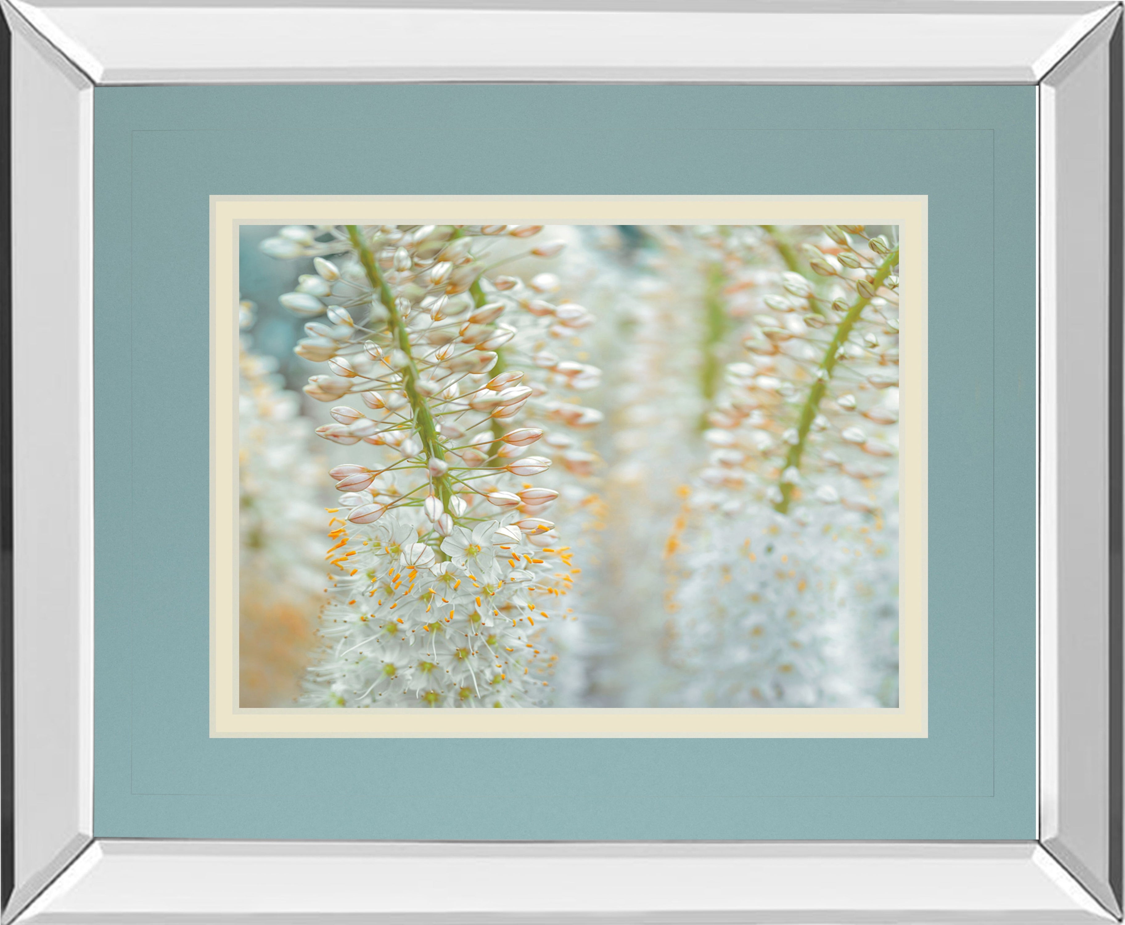 Humbled By Frank Assaf - Mirror Framed Print Wall Art - White