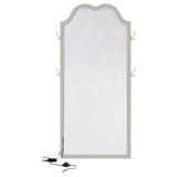 Evangeline - Full Length LED Light Floor Mirror - Silver Oak by Coaster Fine Furniture | Bel Furniture