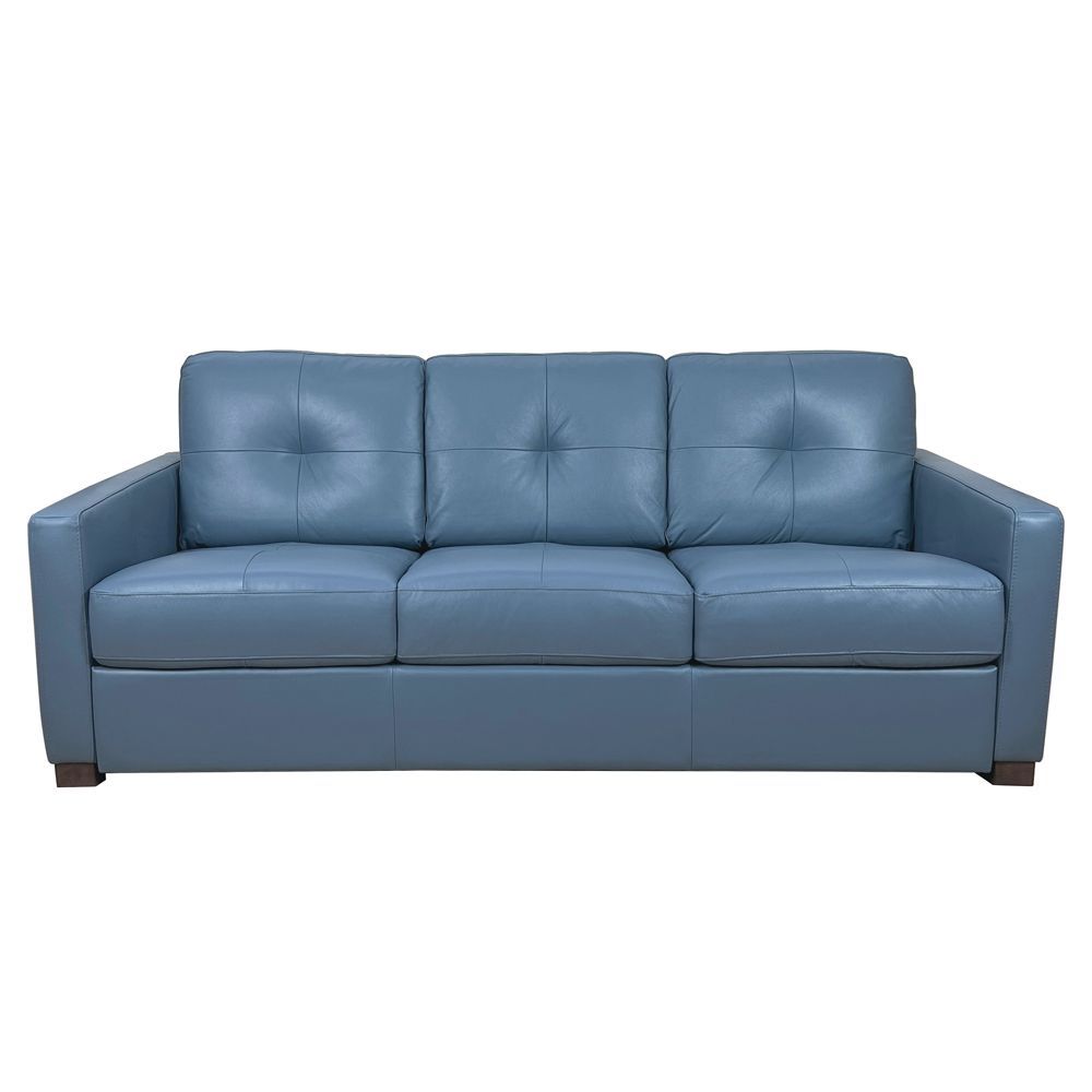 Leather Sleeper Sofa - Blue / Black