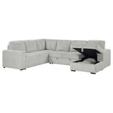 Devonshire - Sleeper Sectional Sofa Storage Chaise