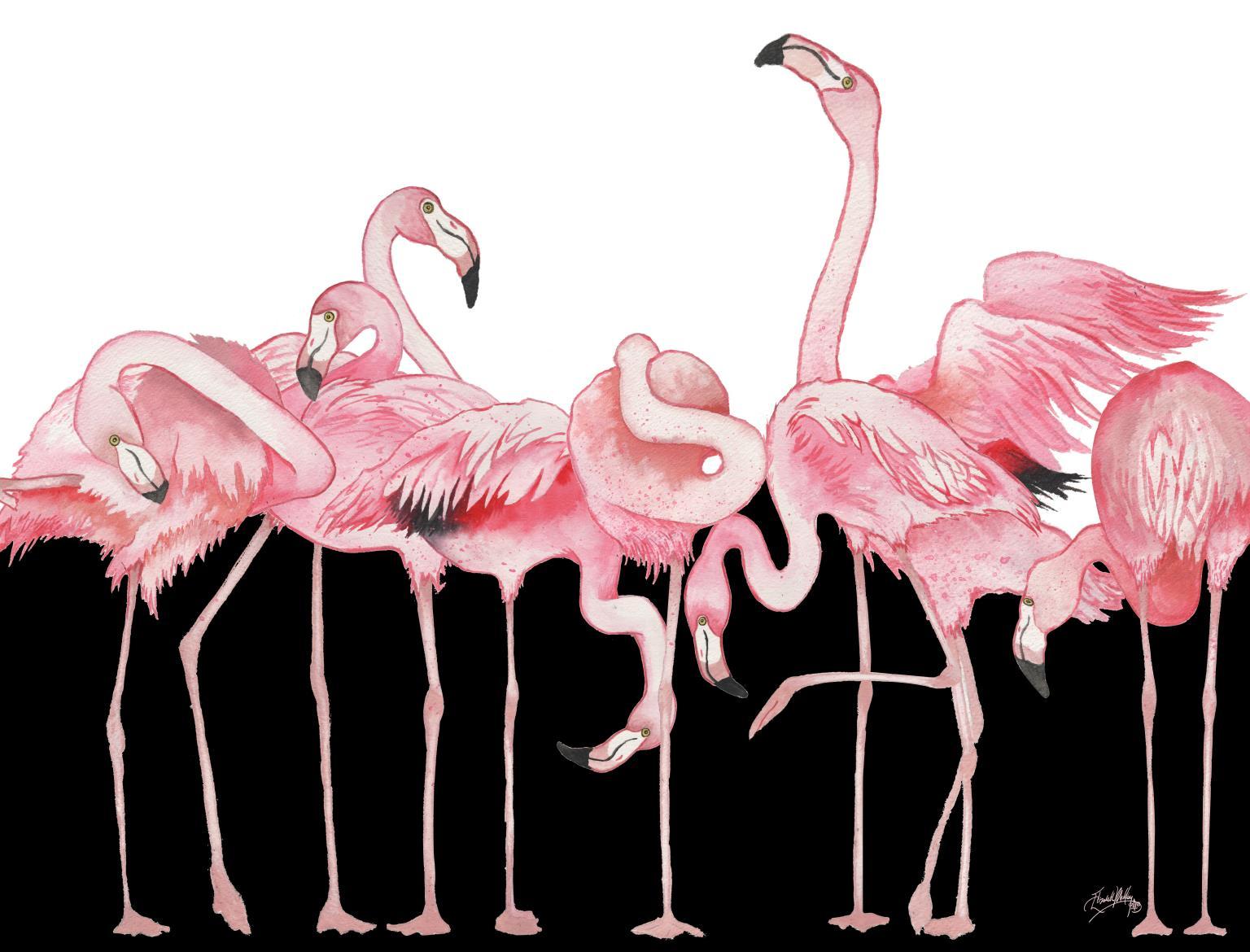 Black And White Meets Flamingos By Elizabeth Medley - Pink