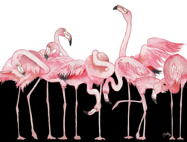 Black And White Meets Flamingos By Elizabeth Medley - Pink