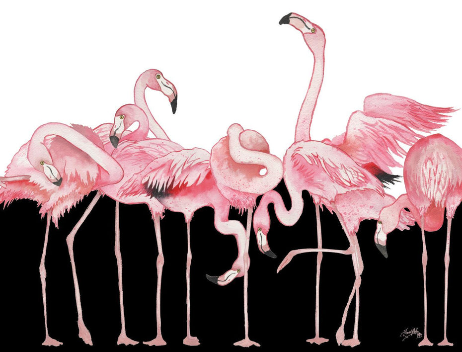 Black And White Meets Flamingos By Elizabeth Medley (Framed) - Pink