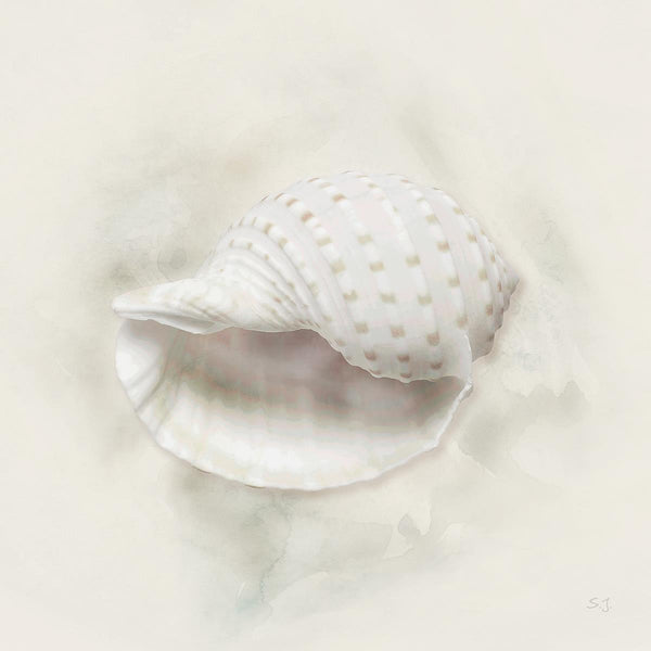 Soft Sand And Shell Iv By Susan Jill (Framed) (Small) - Beige