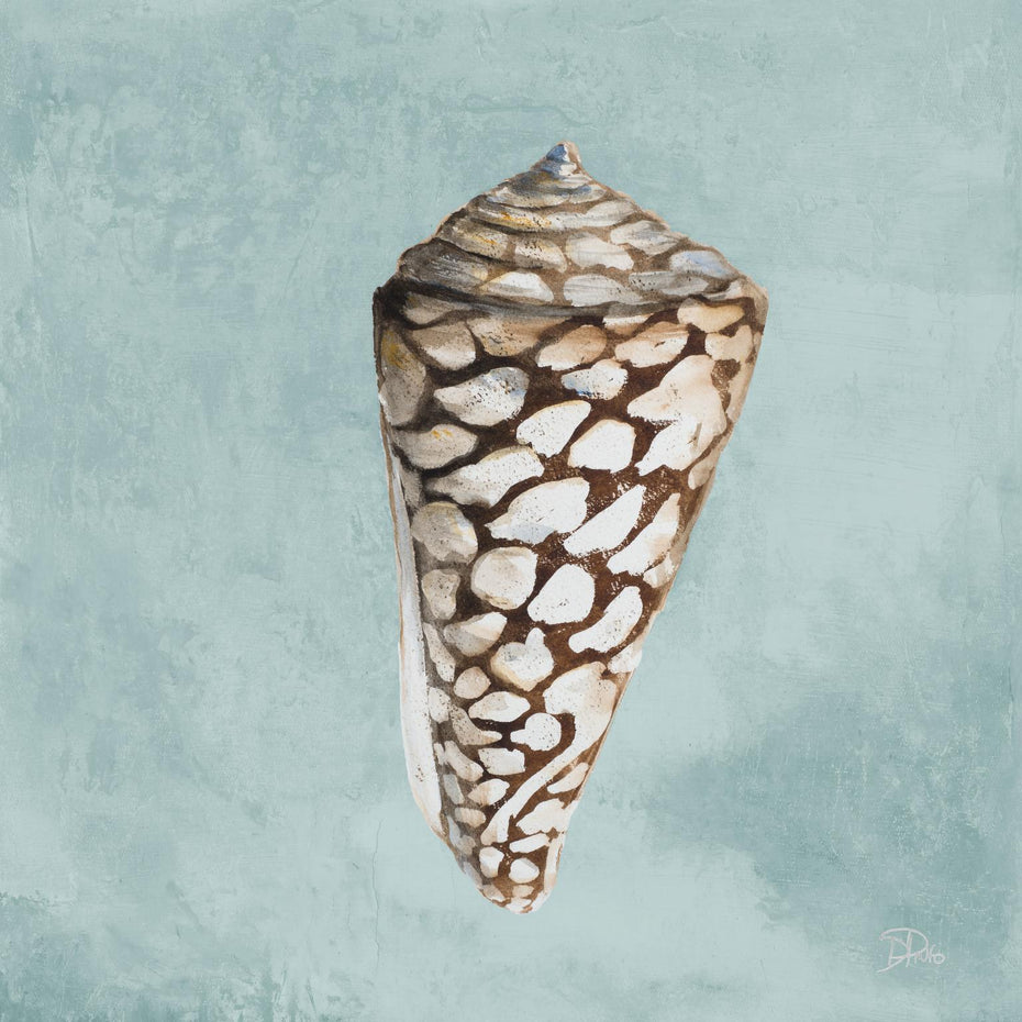 Framed - Modern Shell On Teal II By Patricia Pinto - Blue