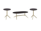 3 PIECE COFFEE TABLE SET