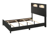 Cadence - Bed In One Box