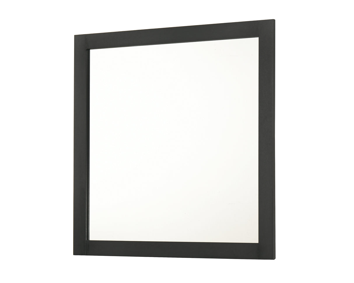 Nemy Dresser Mirror