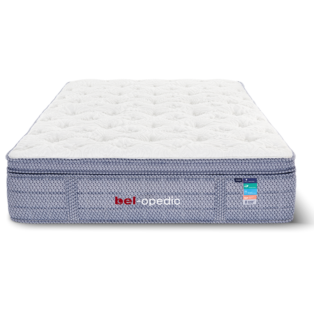 Darlene Box Top 14" Plush Pocket Coil Mattress