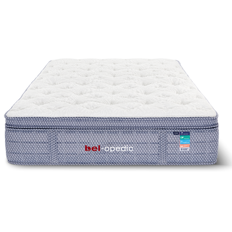 Darlene Box Top 14" Plush Pocket Coil Mattress