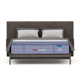 Darlene Box Top 14" Plush Pocket Coil Mattress by bel-opedic | Bel Furniture