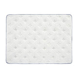 Darlene Box Top 14" Plush Pocket Coil Mattress by bel-opedic | Bel Furniture