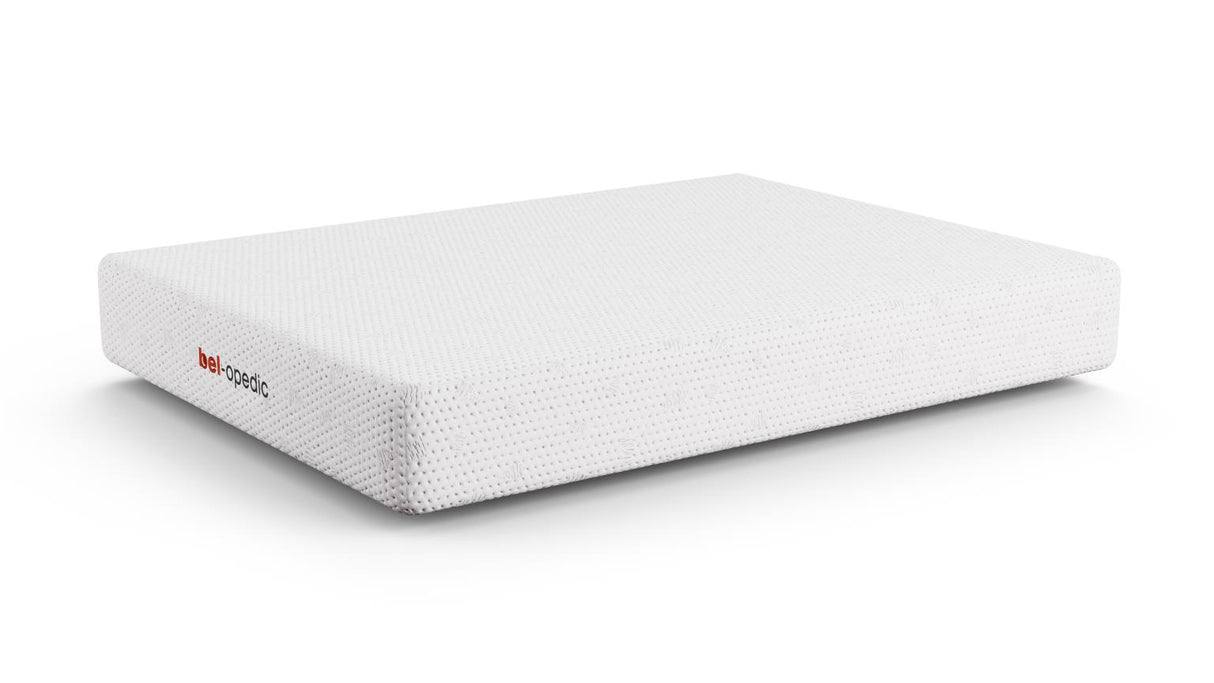 Francisca Plush Hybrid Mattress