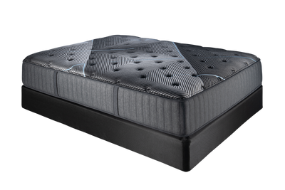 Mechelle Euro Top Plush 14” Hybrid Mattress