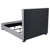 Patricia - Boucle Upholstered Bed by Coaster Fine Furniture | Bel Furniture