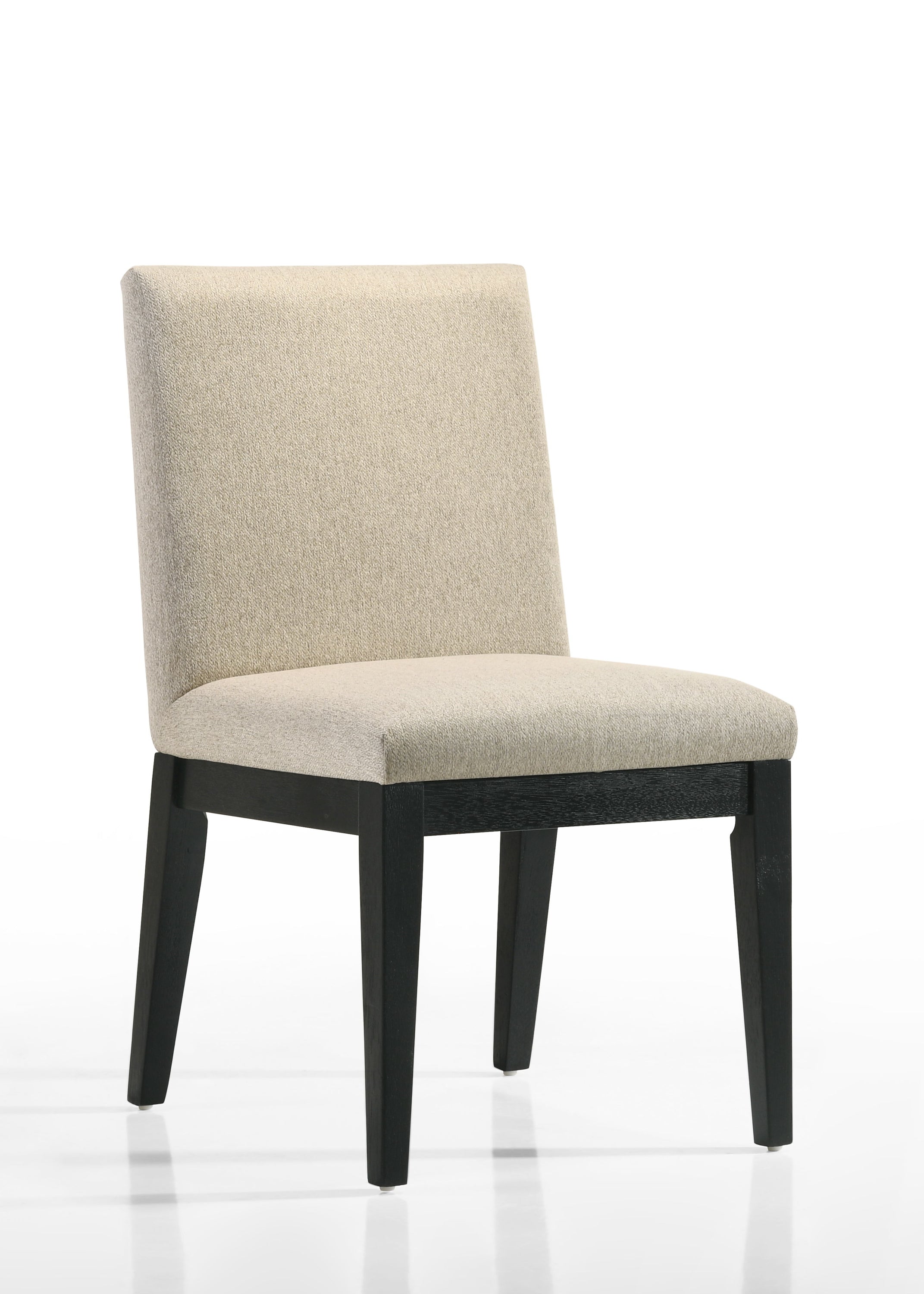 Jasper - Contemporary Fabric 19" Dining Chair (Set of 2)