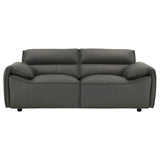 Buxton - Leather Upholstered Sofa Set