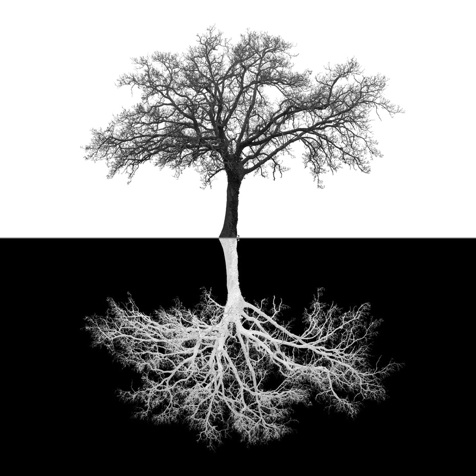 Inverse Tree - Black