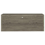 Burke - 2-Drawer Engineered Wood TV Stand - Gray Driftwood by CoasterEssence | Bel Furniture