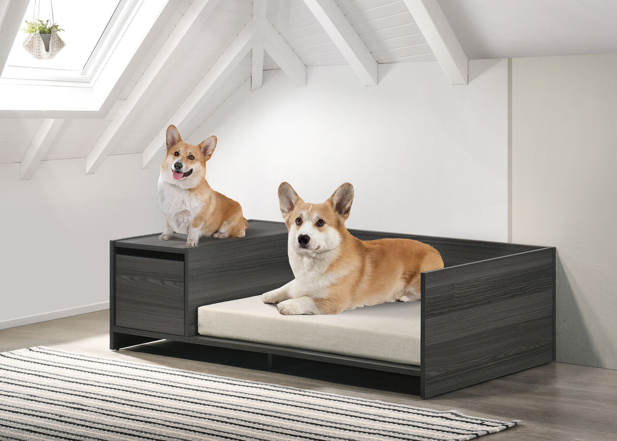 Esme - Wide Modern Comfy Pet Bed With Cushion And Side Storage Compartment - Ash Gray by Lilola Home | Bel Furniture