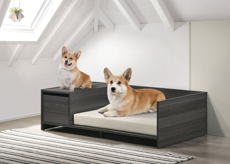 Esme - Wide Modern Comfy Pet Bed With Cushion And Side Storage Compartment - Ash Gray by Lilola Home | Bel Furniture