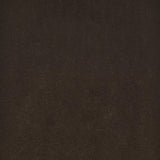 Edgar - Round Glass Top Accent Side Table - Cappuccino by CoasterEveryday | Bel Furniture