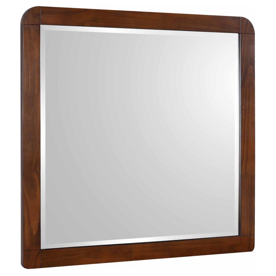 Robyn - Dresser Mirror Dark Brown by CoasterEssence | Bel Furniture
