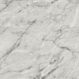 Desiree - 2-Tier Faux Marble Shelf Metal Bar Cart by CoasterEveryday | Bel Furniture