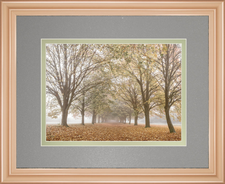 Autumn's Peace By Frank A - Framed Print Wall Art - Dark Gray