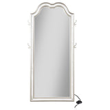Evangeline - Full Length LED Light Floor Mirror - Silver Oak by Coaster Fine Furniture | Bel Furniture